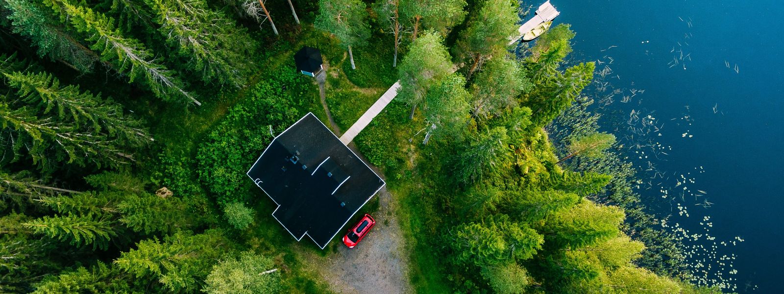 House in forest at lake