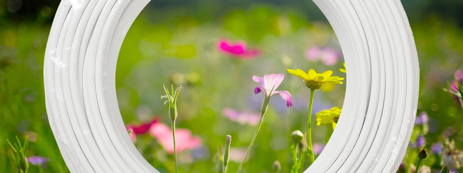 Image of cable in flower field